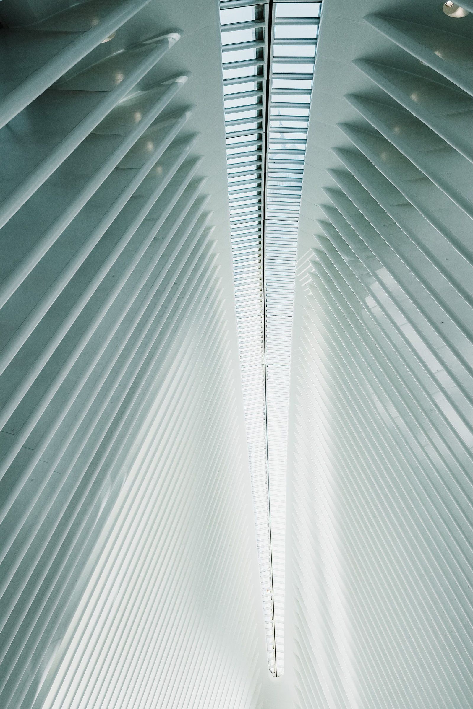 Pale ribbed architectural structure converging to a vanishing line