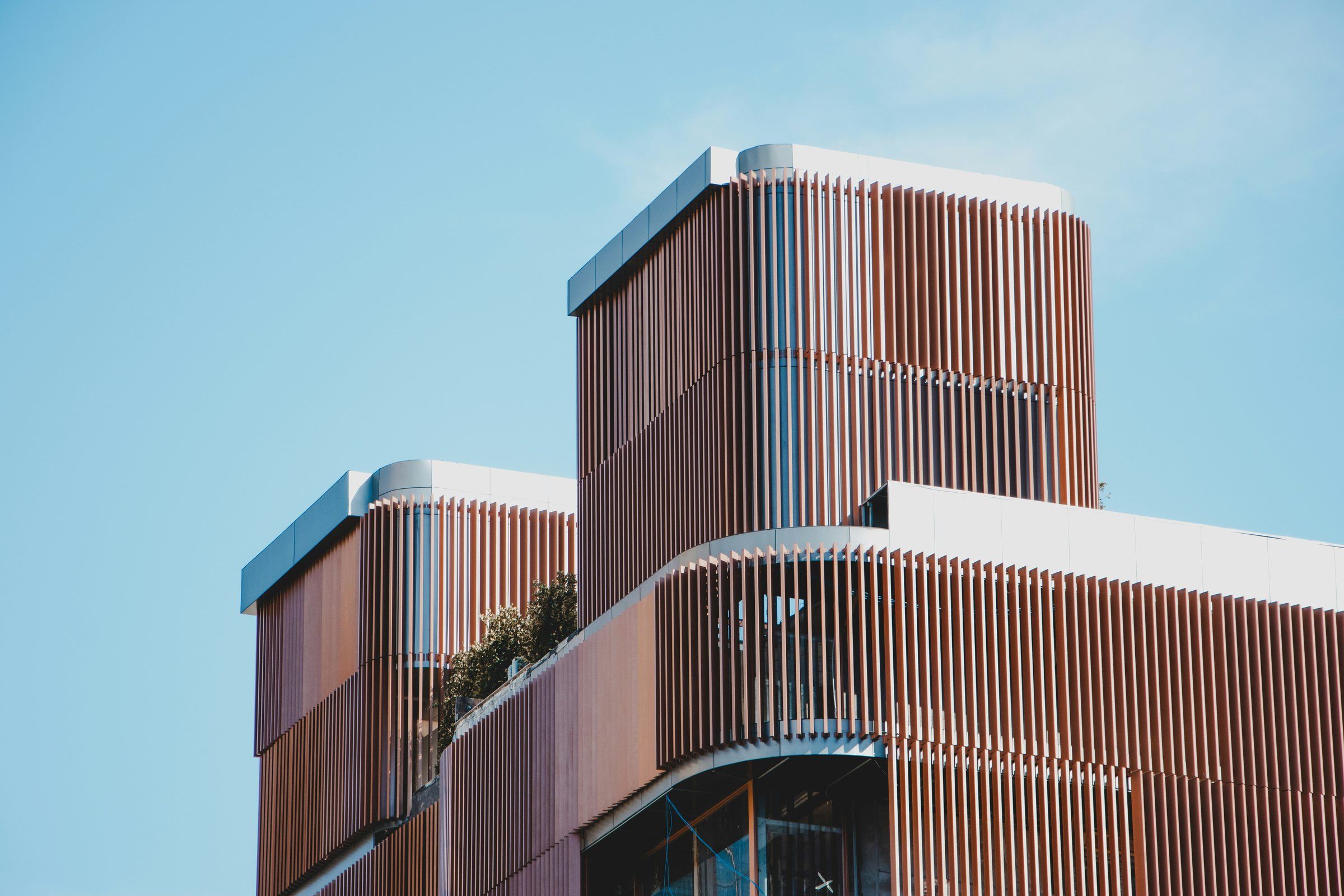 Stillhouse: timber-clad volumes rising against a clear sky